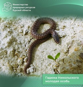 � ������� ������� ������� ����� ���������� ����