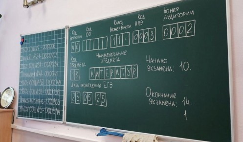 Школьникам из приграничных регионов разрешили отказаться от сдачи ЕГЭ и ОГЭ
