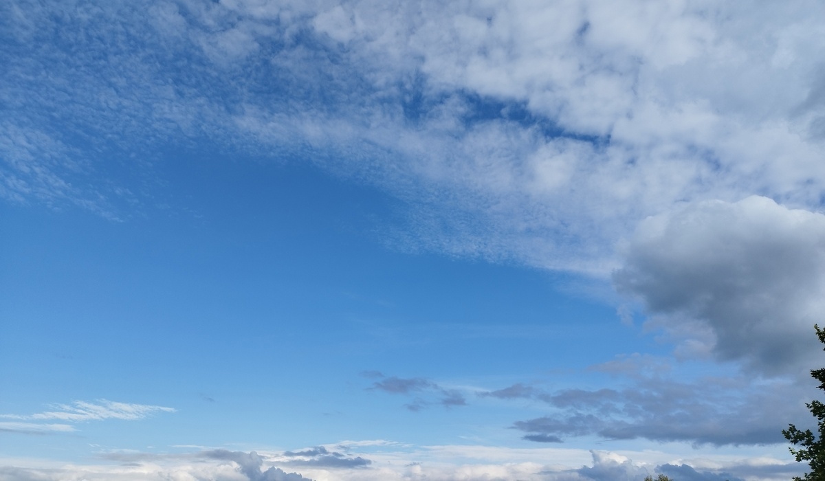 Над Курской областью и другими регионами сбили 77 БПЛА в Вербное воскресенье