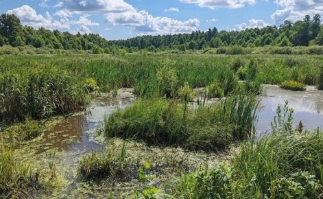 � ������� ������� �������� �������� ������� ������� �������