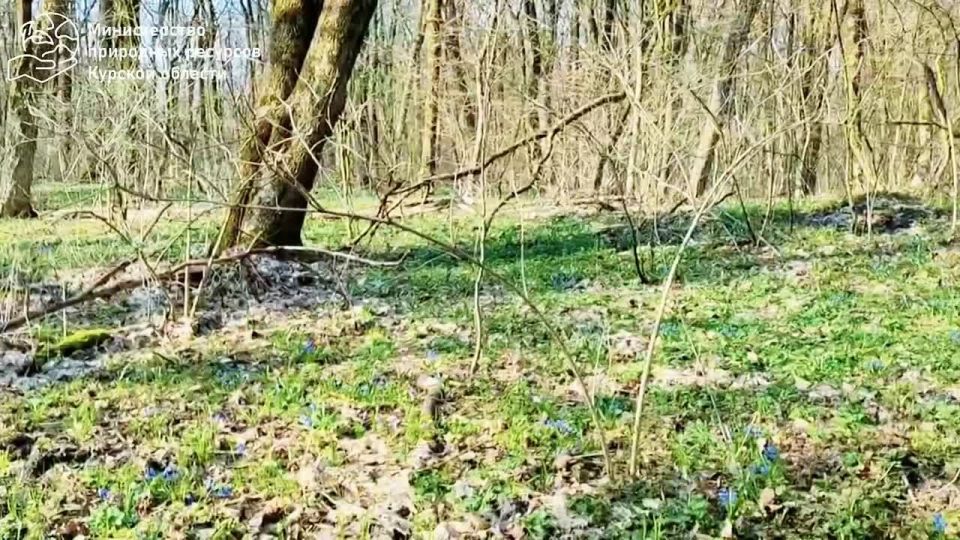 � ����� � ������ ����� �� �������� �����, � �� ��������� �������, ��� ������ ���������� ���������, �������� ������ �����������