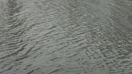 ������� �������� �������� 5 ��� ������ �� ����� �� ���� ������