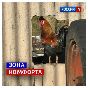 6 ������, �����������. ���� ����������, ��������� � �������� � �� ���� ������ �������� �����