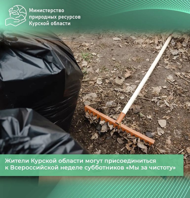 Жители Курской области могут присоединиться к Всероссийской неделе субботников «Мы за чистоту»