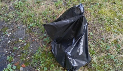 � ������ ����������� �������� ��������� ��������� ����� �� ������������� ������