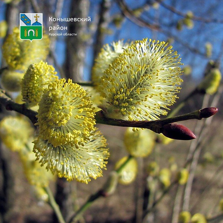 ������ ����!. �� ��������� ����������, ������� ����� ��������, +10�C � ������� ����� �����, ��������� �����