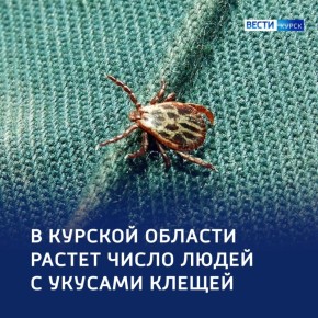 1234����� ����������: � ������� � 22 ������������