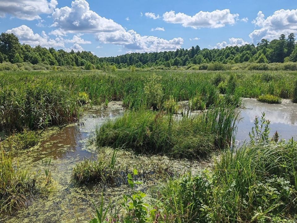 � ������� ������� ������ ����� �������� ������� ������� �������