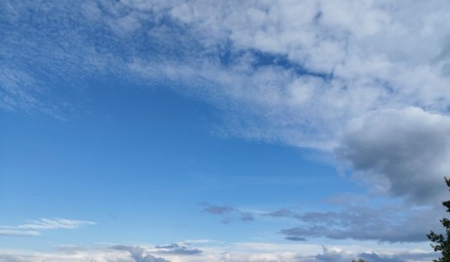 � ������� ������� ���� ����� 6 ������ �������� ����� ����������� ���������