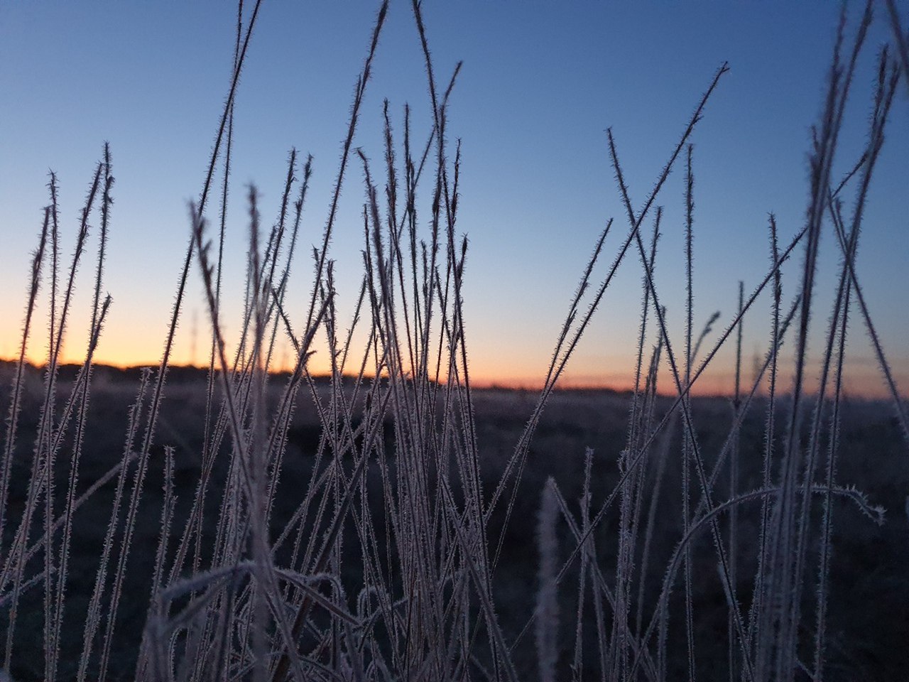 В Курской области 8 апреля синоптики обещают ночные заморозки и мокрый снег