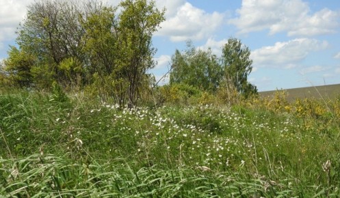 ��� ������� �������� �������� ������� � ������� ������ �������� � ��������