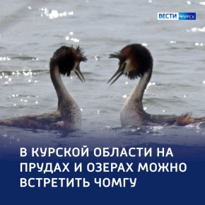 ����� �� ����: � ������� ������� �������� �����