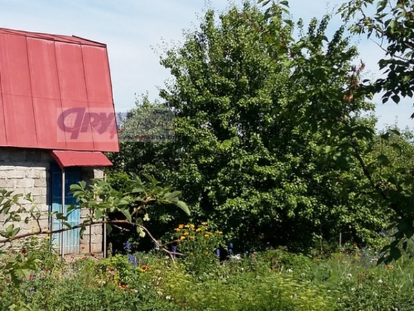 Мэр Курска объявил войну нецелевому использованию дачных участков