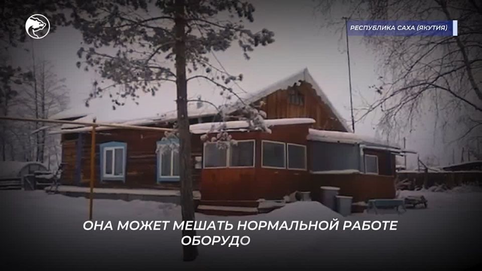 ��� ��� � ���� ������ ������?