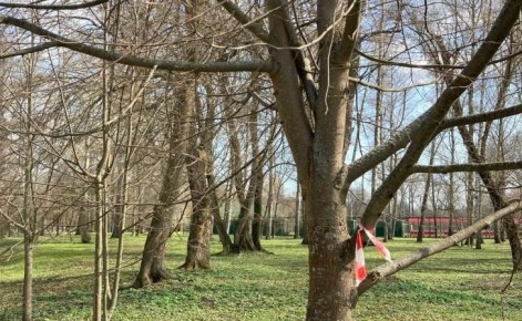 � ������ �� ������ �������� ���������� ������� ��� �� ������� ����