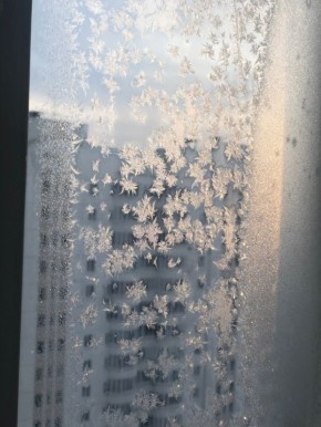 ���� ����� � ������� ������� ������������ �� 2 �������� ������