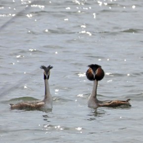 ����� �����: � ������� ������� �������� ������� ����� ����