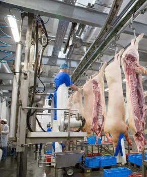 ������� �������������������� ����������� ����������� �� 120 ����� ������ �� �������� ��������� ��� ���� � ���������� �����������