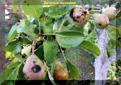 ���� �� ����: �������� ������ ��� ���� � �������, ������� ������ ������������