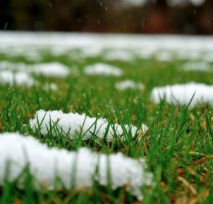 � ������� ������� 8 ������ ��������� ���� � ��������� �� ����� 3 ��������