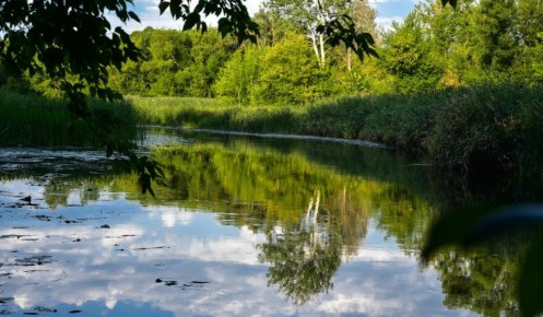 � ������� ������� ������� ��� ������ �� ������������� ���������