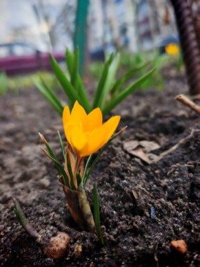 ������ ����!. �������, �� �������, 7 ������, �� �������� ������������� ��������� ���, � ������� ������� �������, ���� � ������������