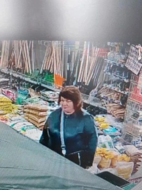 ��������������� ������� ������� � ������ �������� ���������� �� ����� ����� ��������������� �������� �������