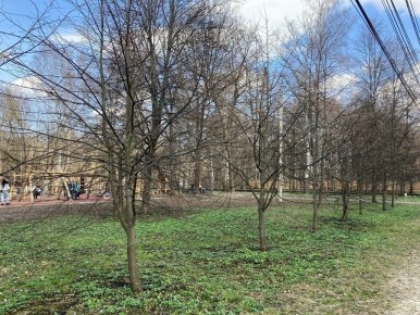 � ������ �� ������ ������������� ���������� ������� ���