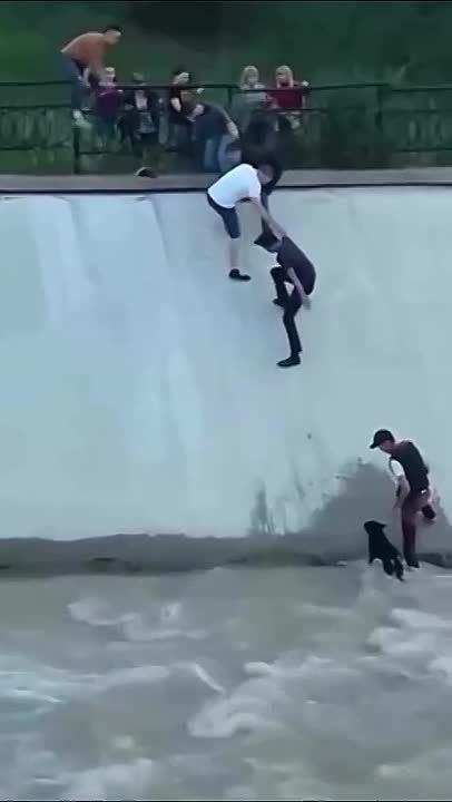 10 лет назад на озере Сайран тонула собака