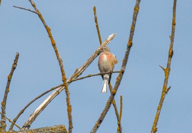 Доброе утро, Пристенский район!