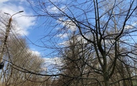 � ������ �� ������ �������� ���������� ������� ���