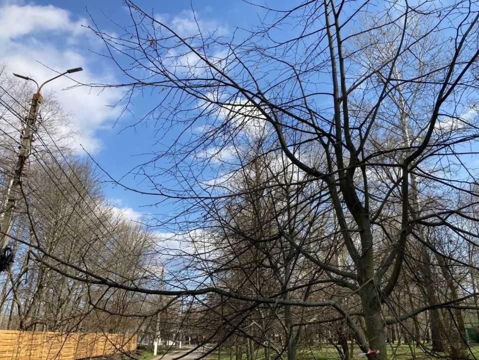 �� ���� ������ � ��������� ����� ������ ���� ������ ������ �� ���������� ������� ���, �������� ����� ������� �����, ������� � ����������� �����