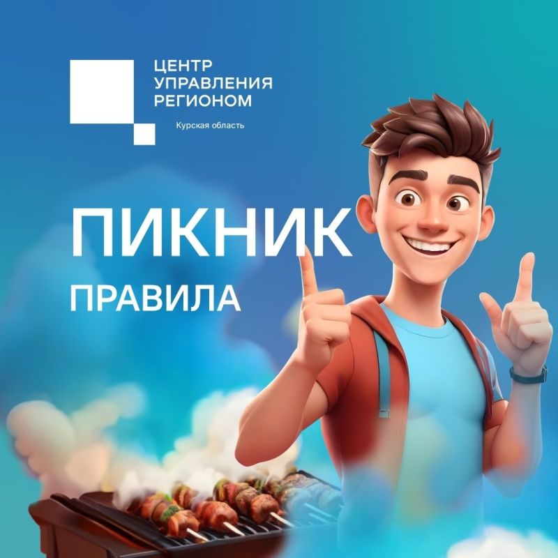 На улице становится всё теплее, и многие уже планируют выбраться на природу, устроить пикник