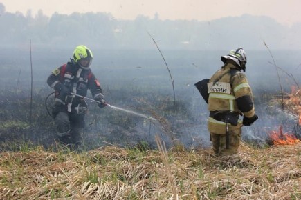 В Курске стали чаще гореть мусор и сухая трава