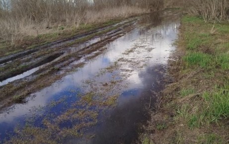 ����� �� ����� ����� �������� ������ ������ ��������?