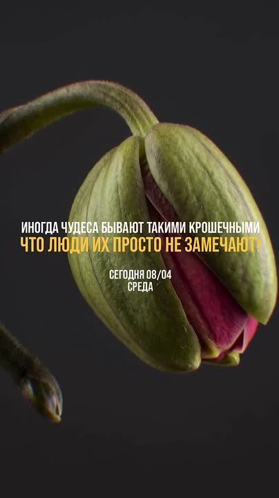 Доброе утро, дорогие щигровцы!