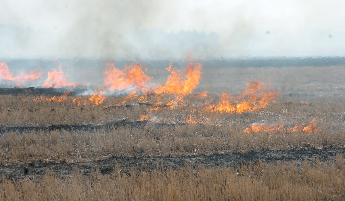 В Курске участились случаи пожаров при сжигании мусора
