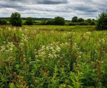 ������� �������� �� ������� �� ��������� �������