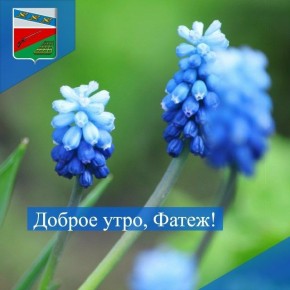 ������ ����. ������ ���� ������� ���������� ������ �������� ��������!