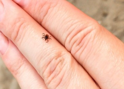 ����� � ���������� �������� � ������� �������