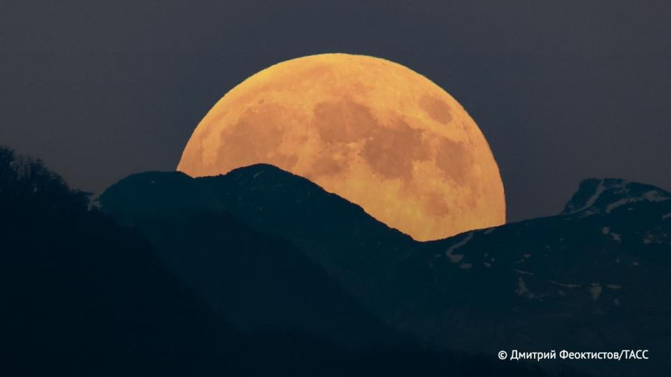 ������� �������, ��������������� ������� ��, ������ ������ ������ �� ���� � 2036 ����, ������ ����-��������� ��� "������������ ��������" ��������� ������