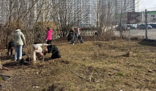 Сотрудники администрации Курска вышли на санитарный день