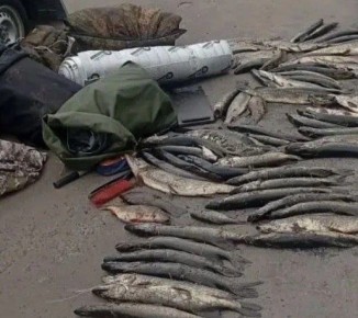 «Черного» рыболова поймали полицейские на посту в Курской области