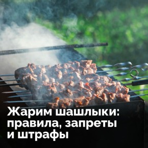 Курянам напомнили о правилах жарки шашлыка