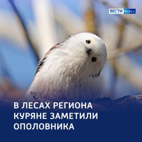 Удивительная жизнь крошечного ополовника