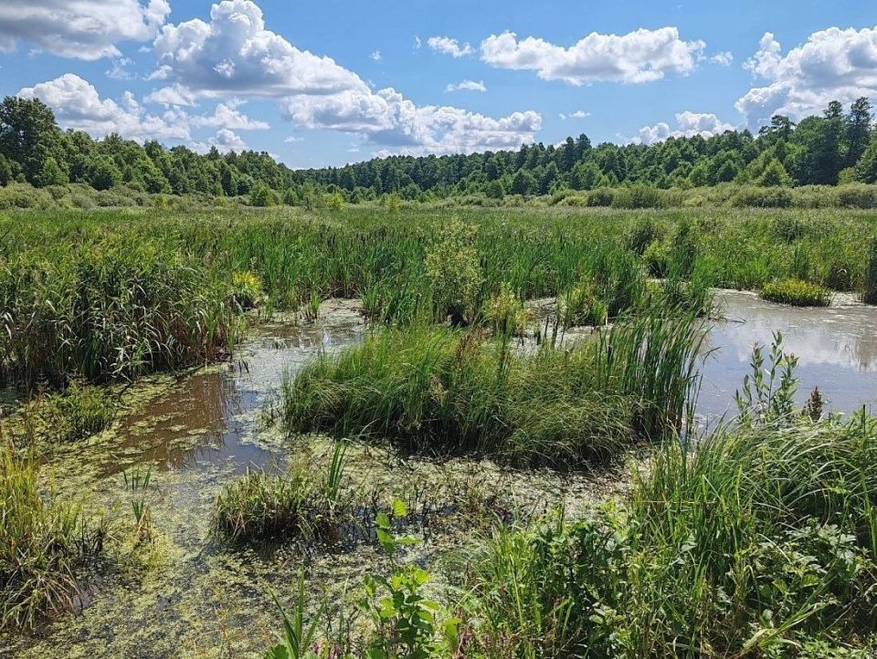 ������ ��������: � ������� ������� ��������� ��� ����� ����� ���������� ��������� �������: ������� ������� � ������������ ������ ������� �������� ���