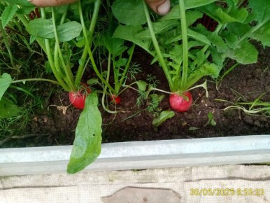 ������ � ������: ������ ������ �� ������ �������