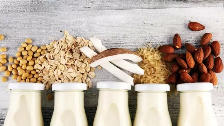 Почему растительное молоко завоевывает сердца кофеманов
