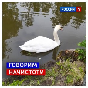 9 апреля, четверг. По православной традиции сегодня чистый четверг