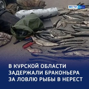 «В нерест не лови»: в Курской области задержали браконьера